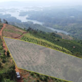 Lô đất Farmstay View Hồ Số 1 - Khu Tà Đùng Bestview Central Park