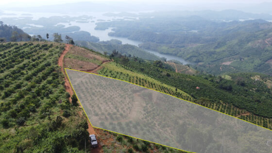 Lô đất Farmstay View Hồ Số 1 - Khu Tà Đùng Bestview Central Park