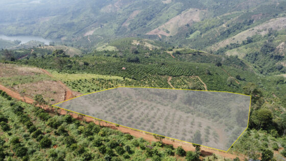 Lô đất Farmstay View Hồ Số 1 - Khu Tà Đùng Bestview Central Park - Hình ảnh 2