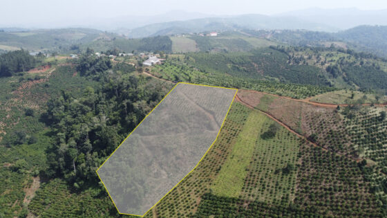 Lô đất Farmstay View Hồ Số 1 - Khu Tà Đùng Bestview Central Park - Hình ảnh 3