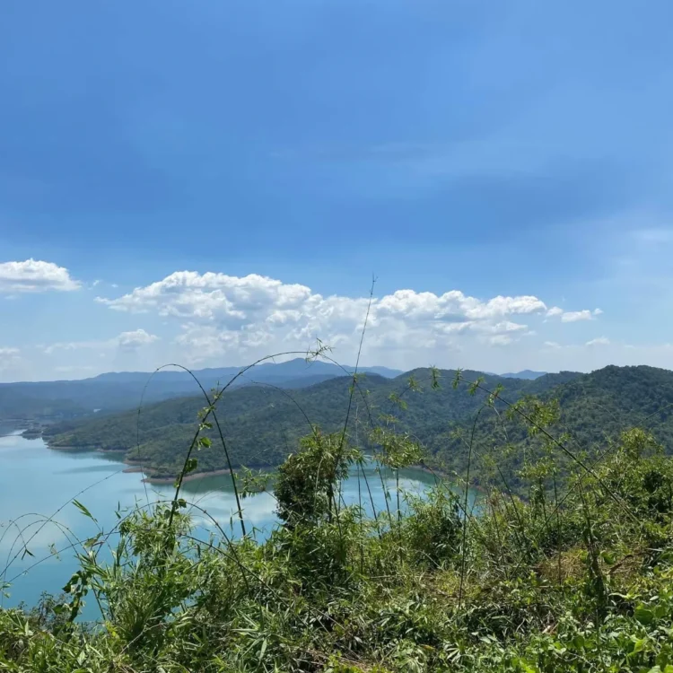 Đất farmstay nhìn thung lũng Tà Đùng - 3.638m² - mặt tiền 40m